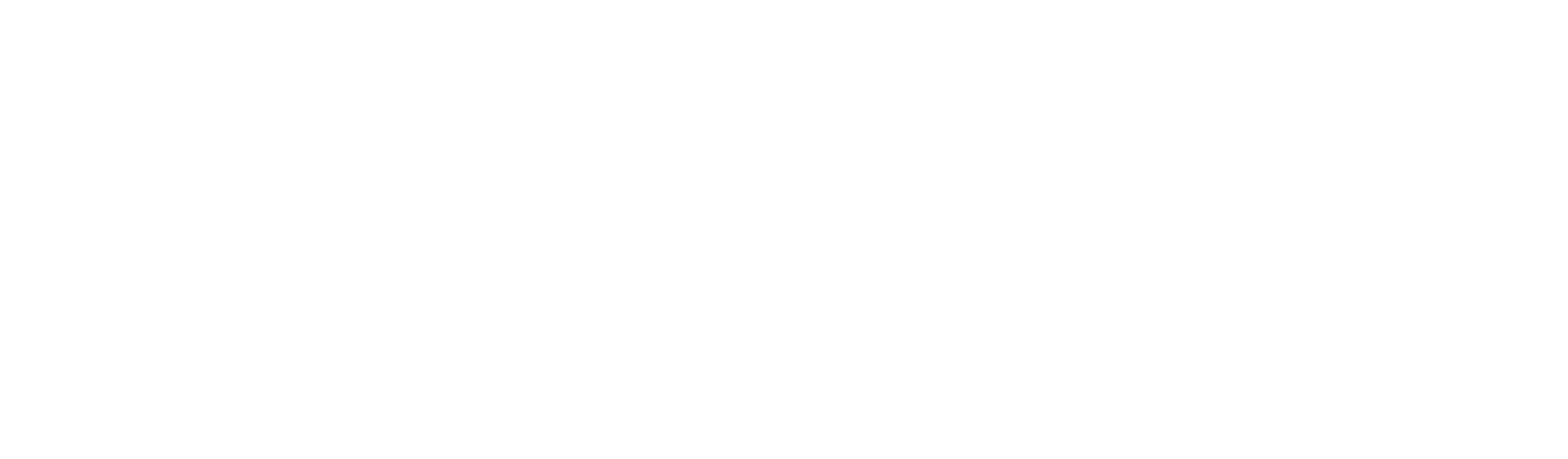 SADEN Logo